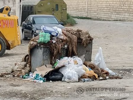 Qurban bayramdan sonra yaranan ürəkbulandıran mənzərə - FOTO