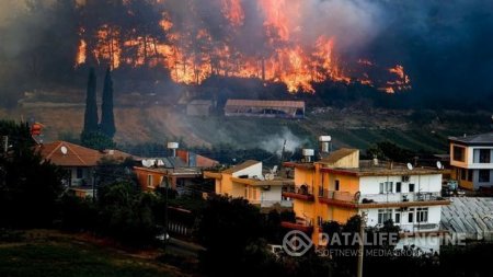 Azərbaycan ekoloqlarından türkiyəli həmkarlarına DƏSTƏK