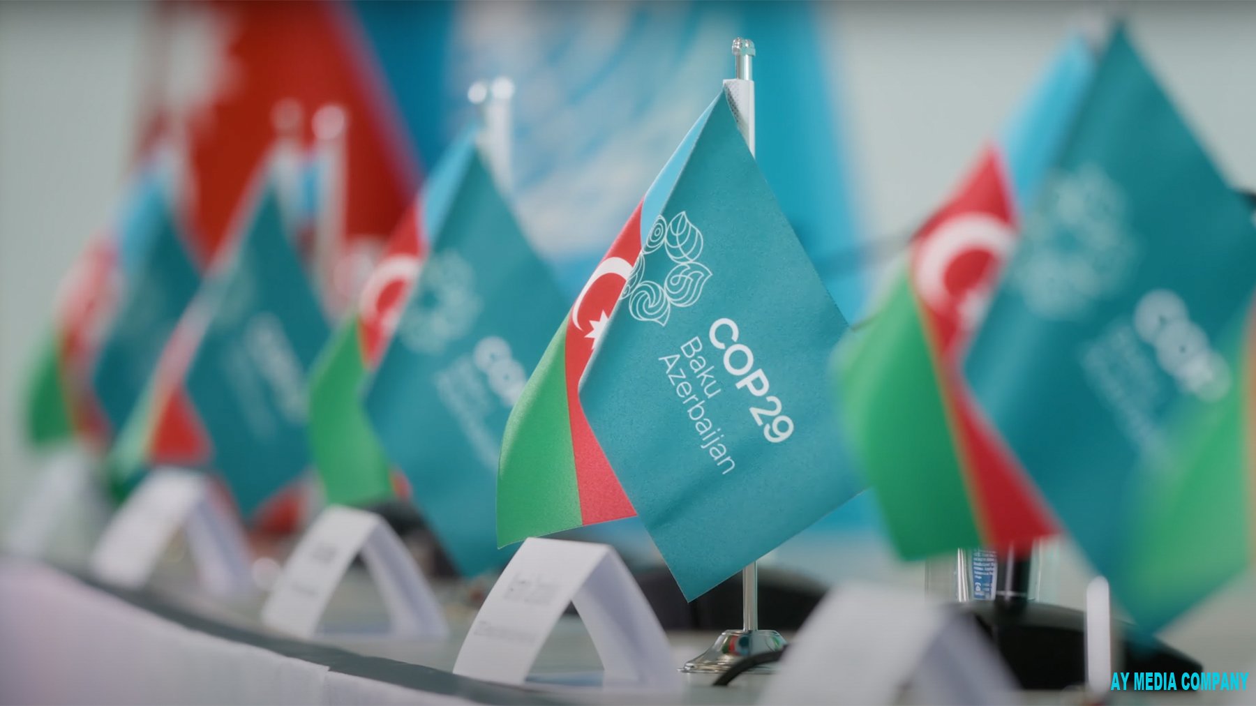 COP29: İqlim diplomatiyası vasitəsilə sülh