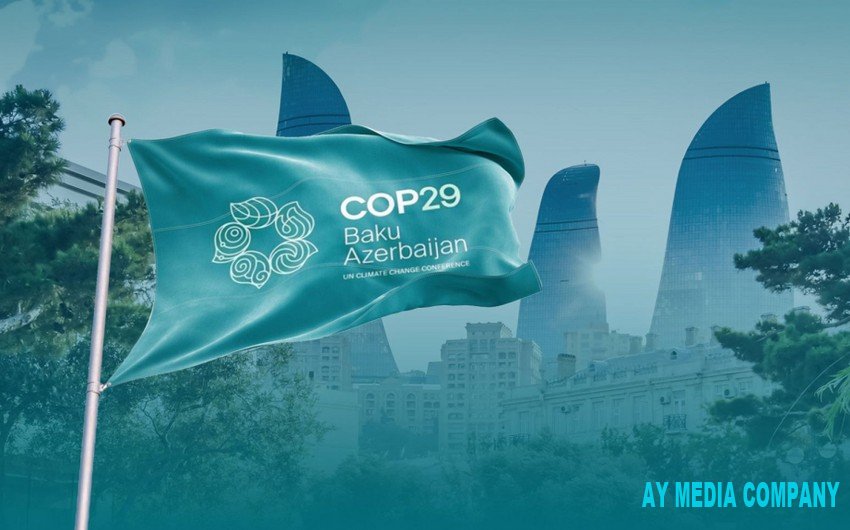 "Gənc diplomatlar" COP29-un uğurla keçirilməsi münasibətilə Azərbaycanı təbrik edib